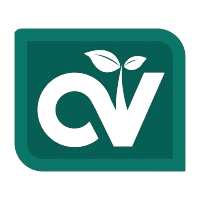 cv