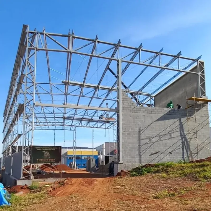 Planta para construção